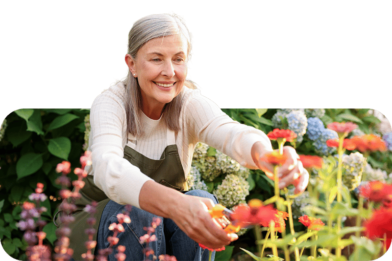 gardener