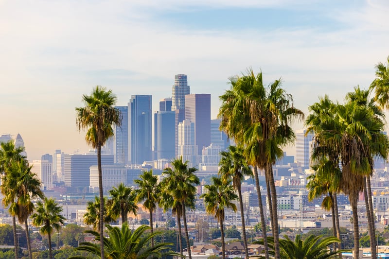 Los Angeles, California skyline with palm trees in the foreground