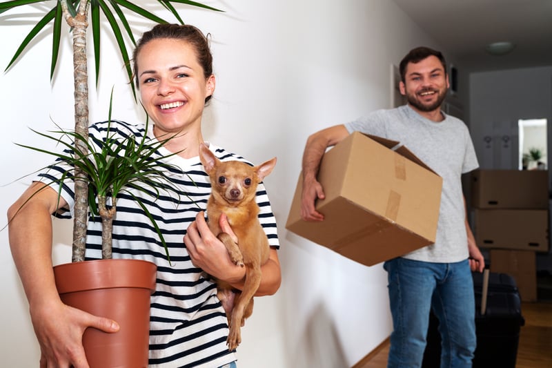 The Complete Guide to Low Down Payment Mortgage Options