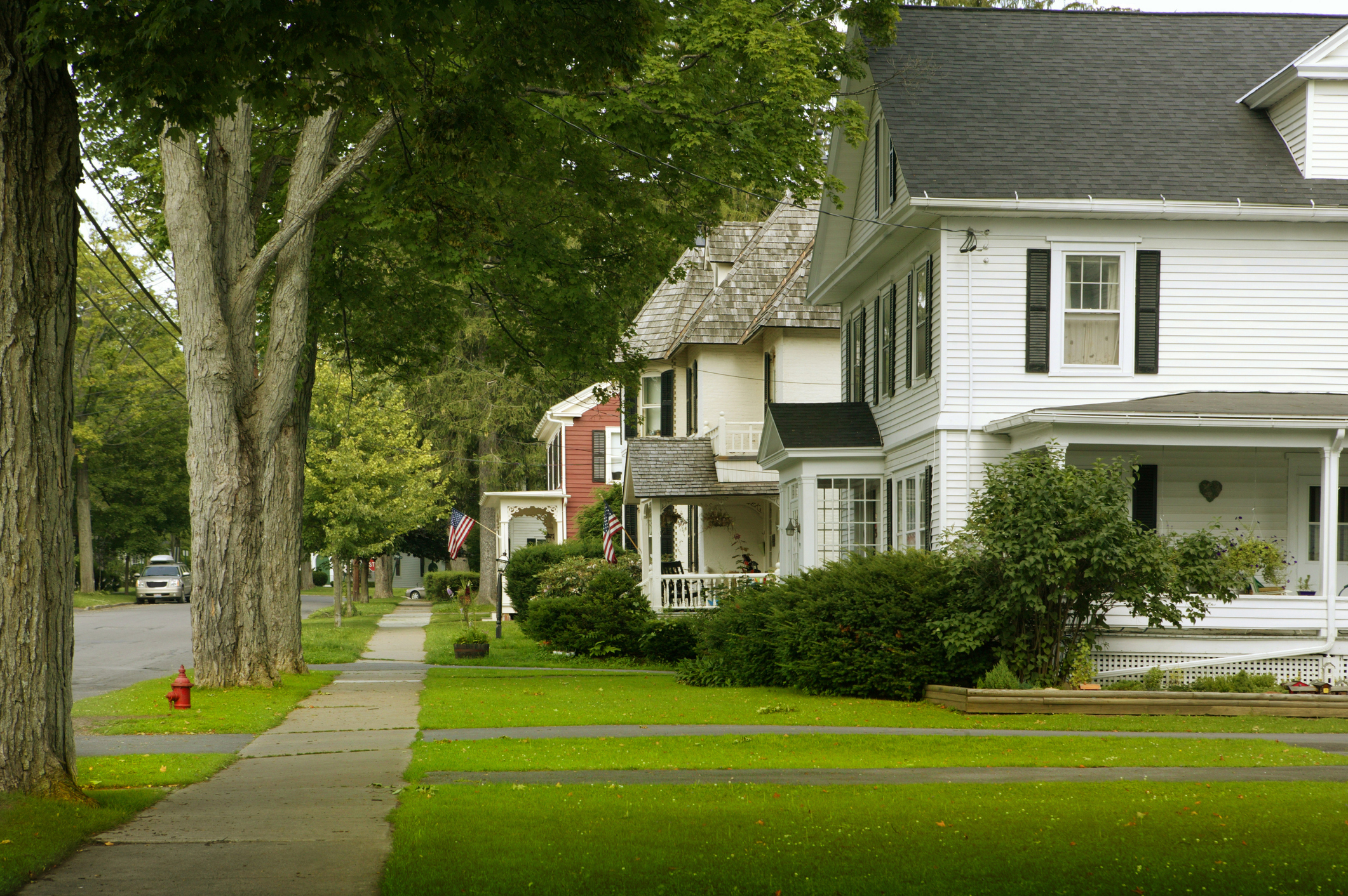 A tree-lined street of single-family houses in a small town.