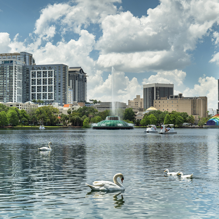 East Robinson Street