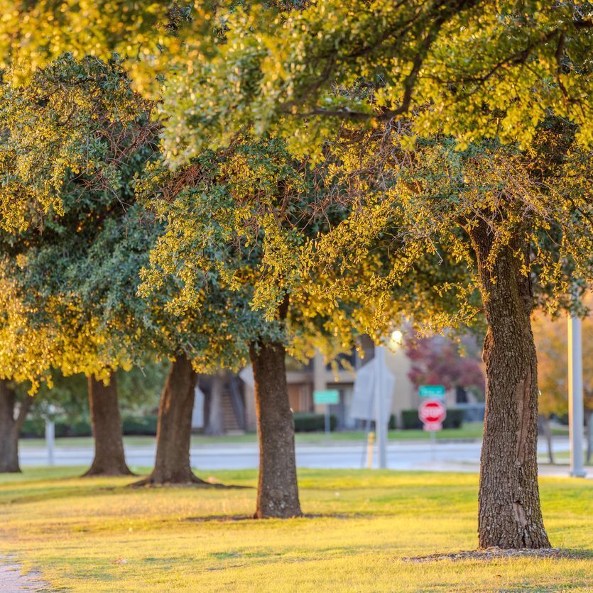 North Glenville Drive