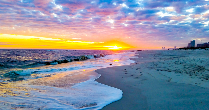Orange Beach Team
