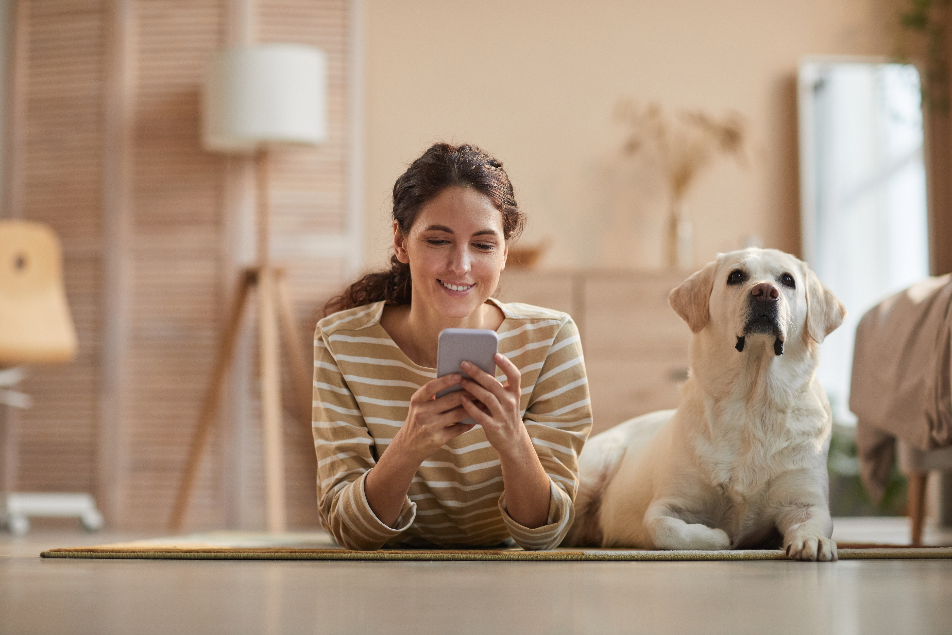 A woman lays on the floor with a yellow lab and explores FHA vs. conventional refinance options on her phone. The lab doesn't seem to be interested in the loan options. 