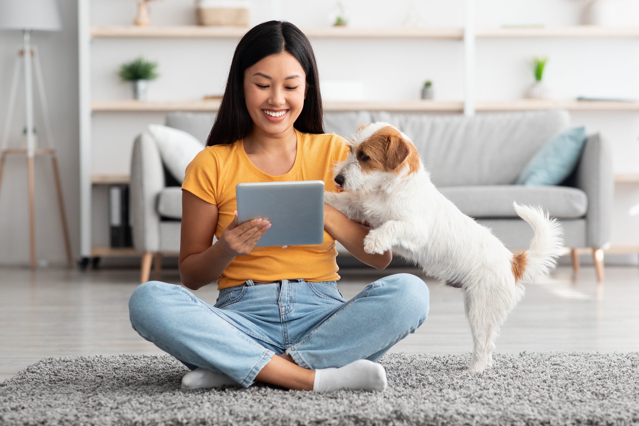 A woman looks at a laptop with her Jack Russell Terrier.