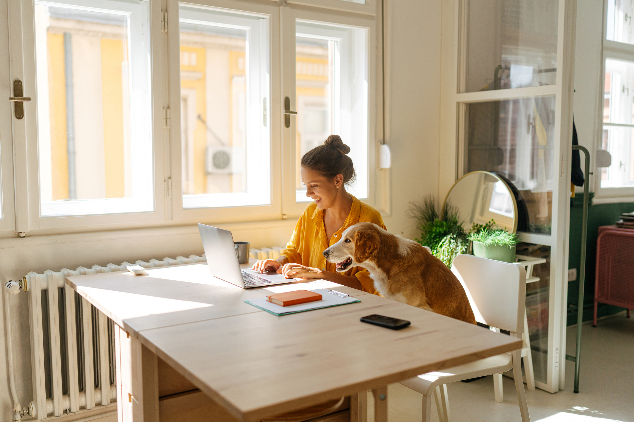 A woman and her golden retriever explore loan options on a laptop.