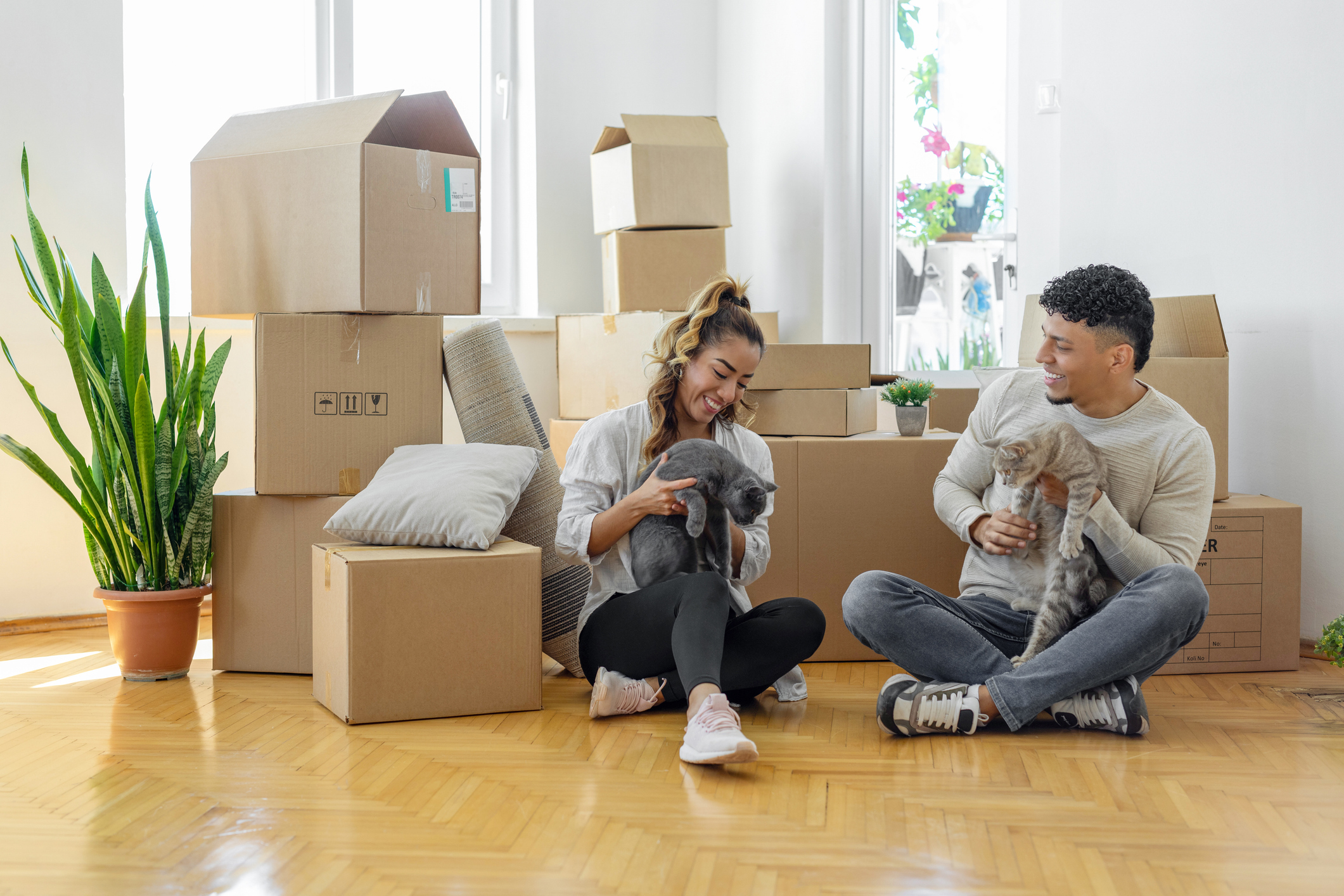 A man and a woman hold cats and sit on the floor surrounded by moving boxes.