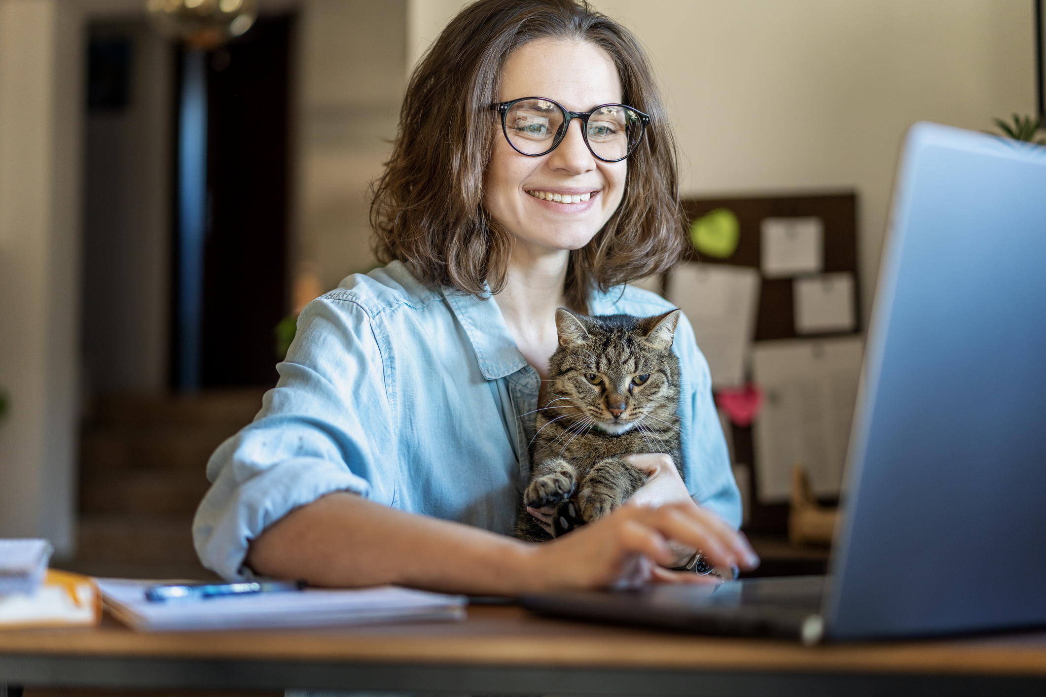 A woman smiles at a laptop while holding an uninterested tabby cat.