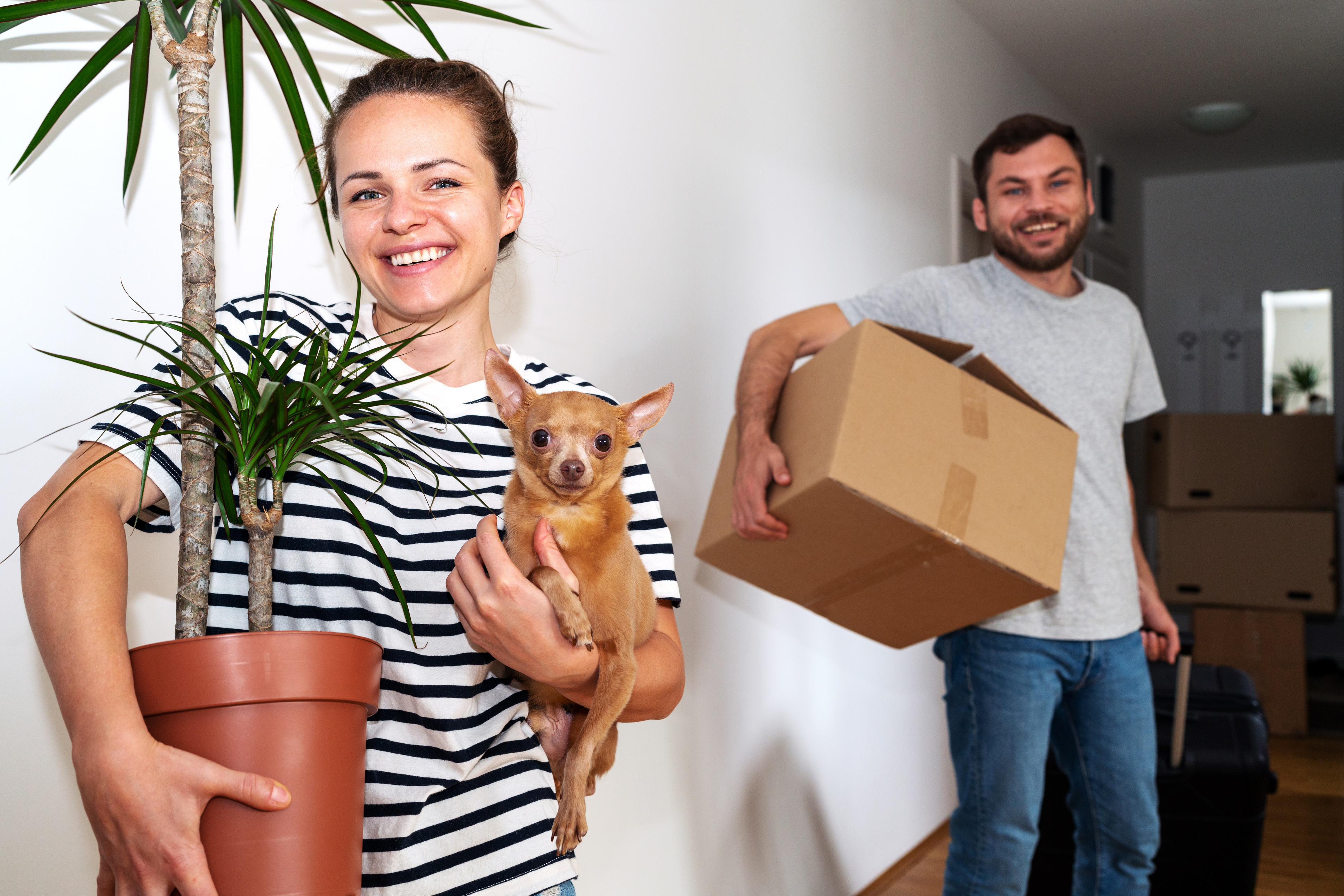 A man, woman, and chihuahua move into a new home.
