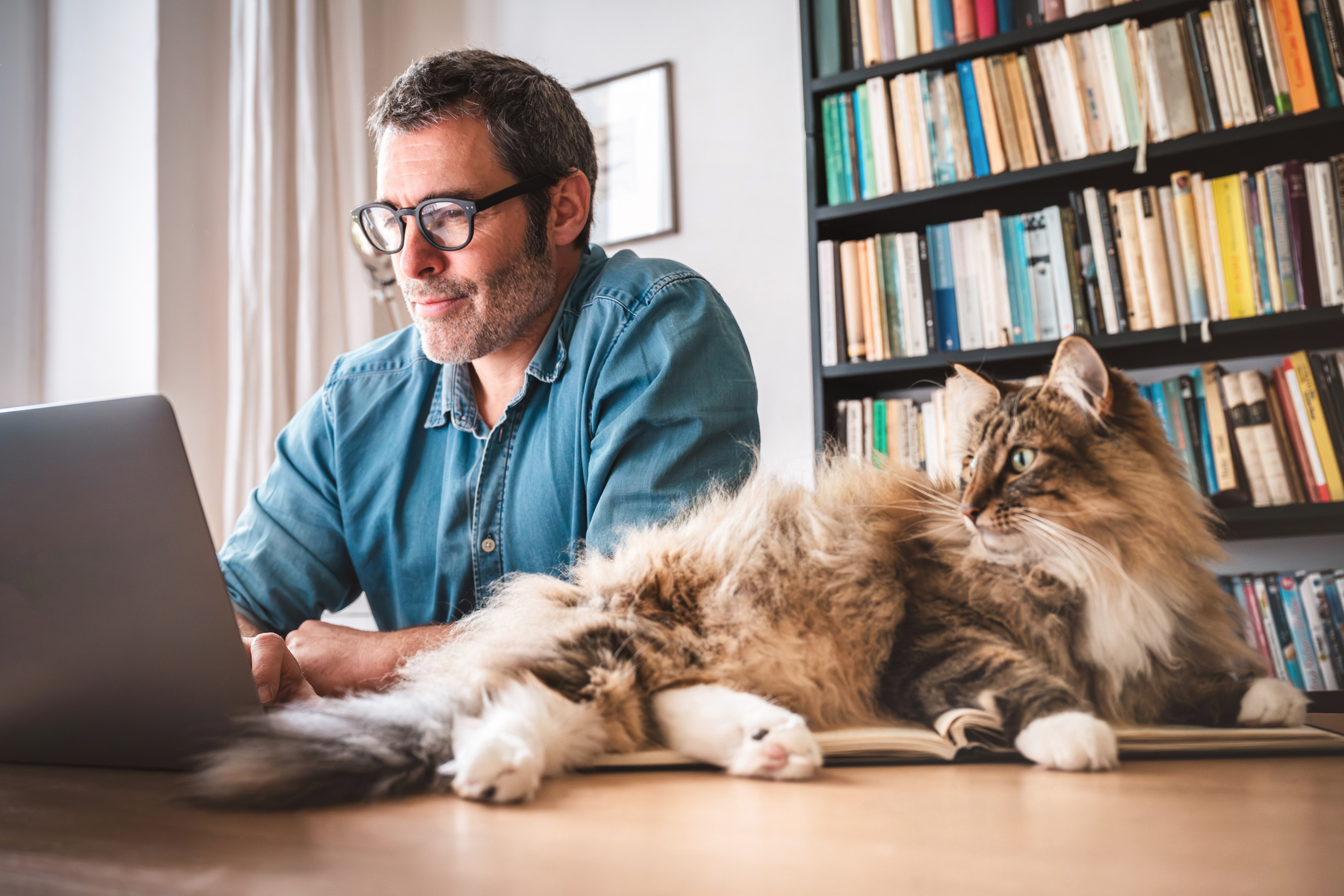 A man smiles while using a laptop next to a fluffy cat.