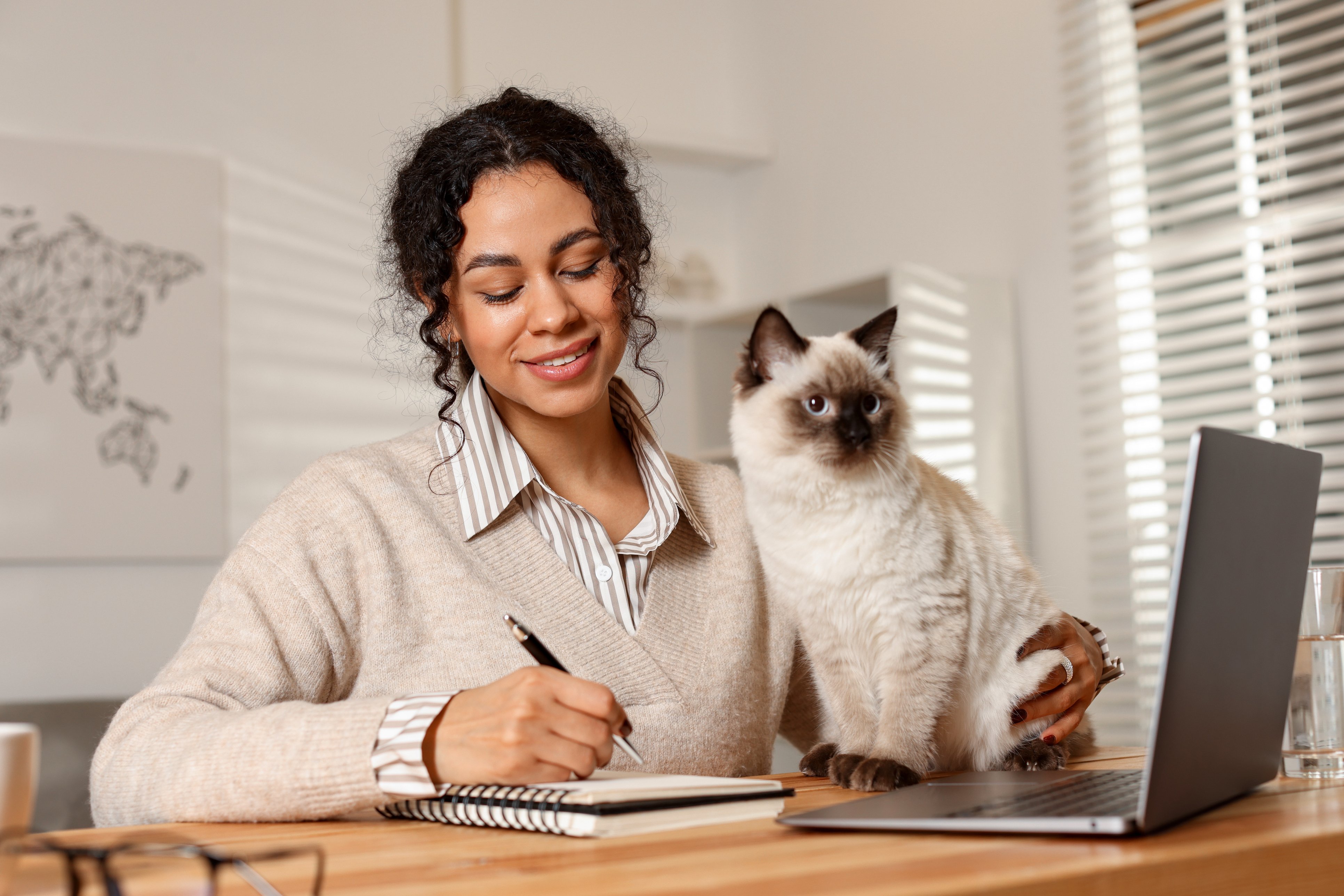 A woman and a siamese cat examine a laptop.